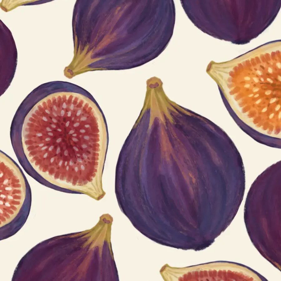 Fig repeat — detail